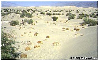 Sandd&uuml;nen im Death Valley